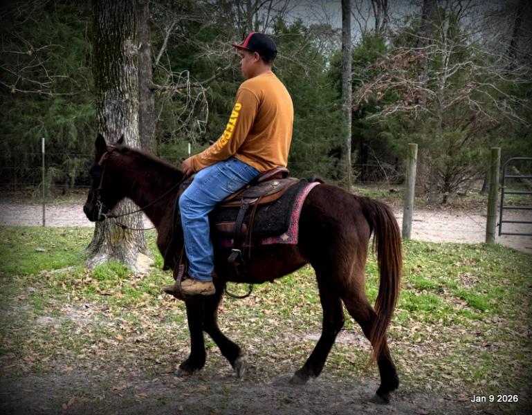 🩷❤️Pixie🩷❤️