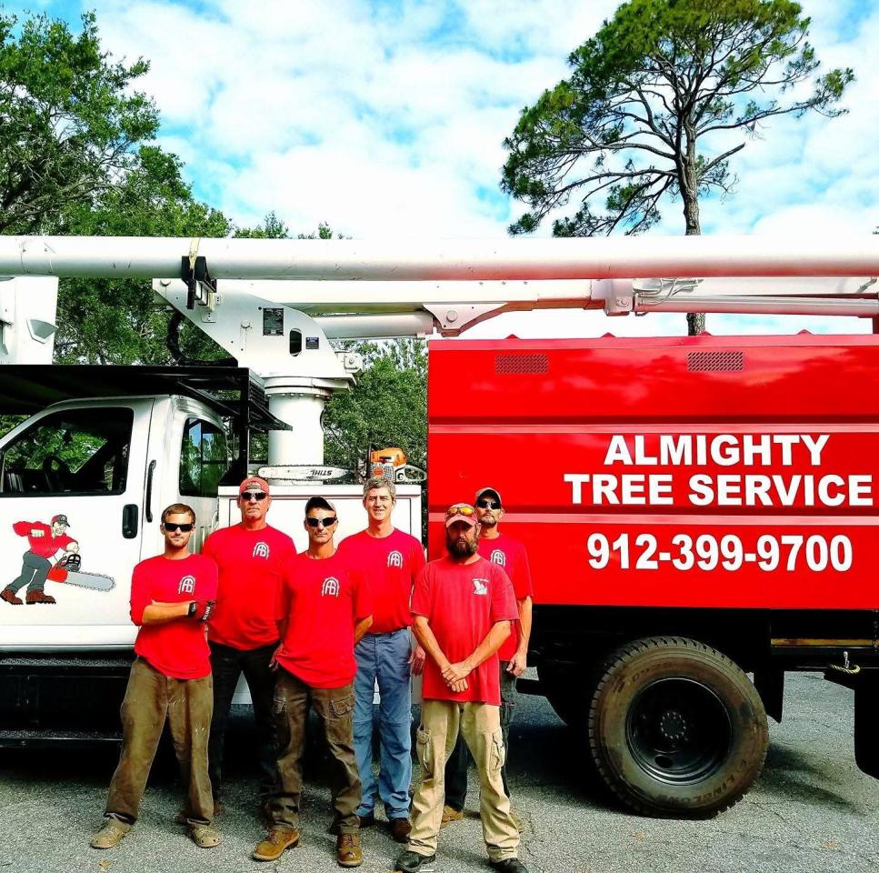 Almighty Tree Service