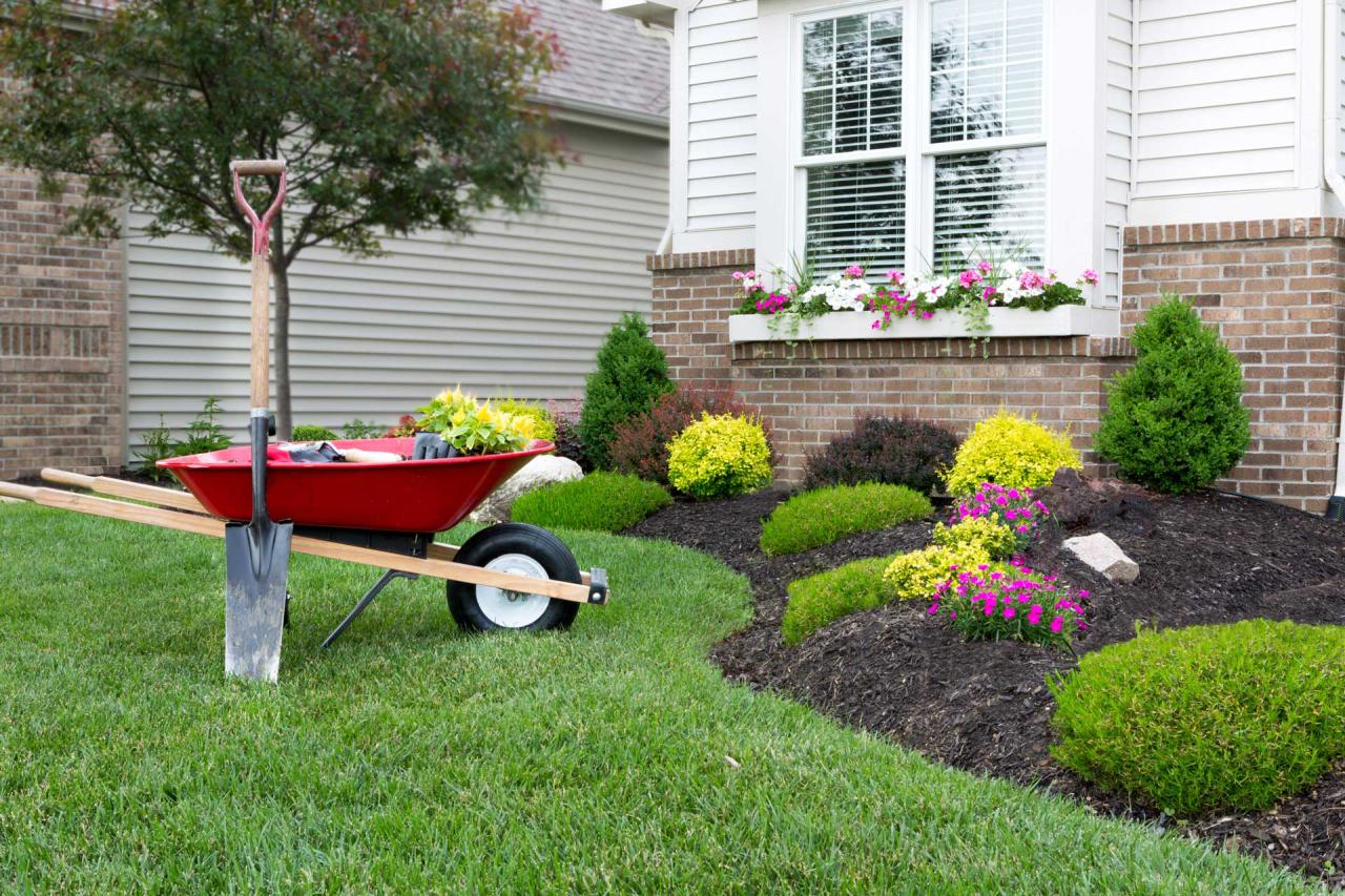 Lawn &amp; Landscaping