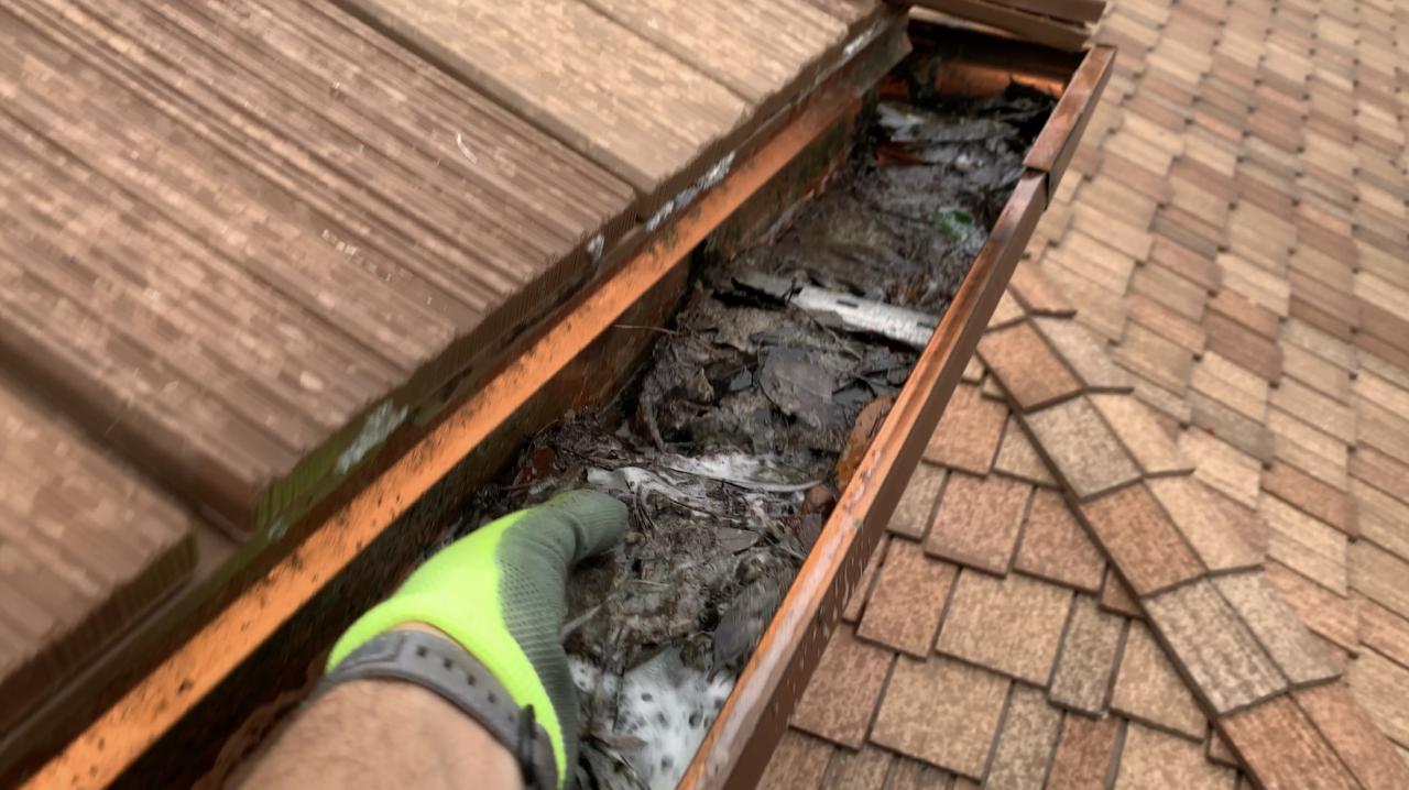 Gutter Cleaning Services