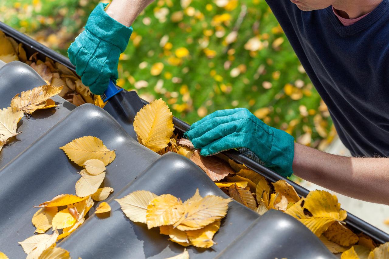 Gutter Cleaning & Brightening