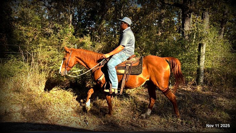 💚Ranger Safe for All Ages💚