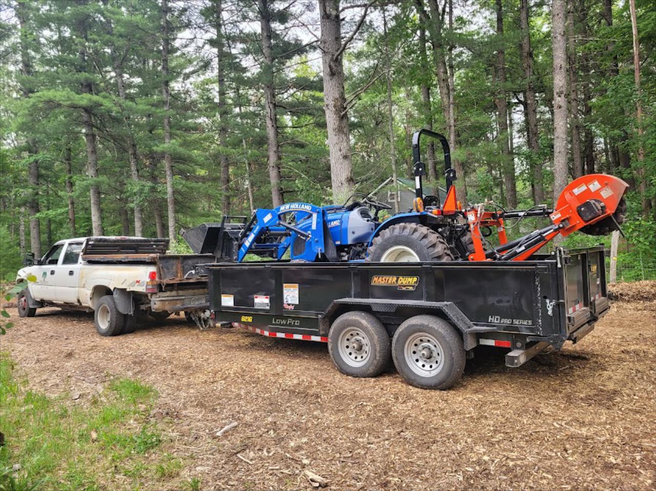 Tree Removal