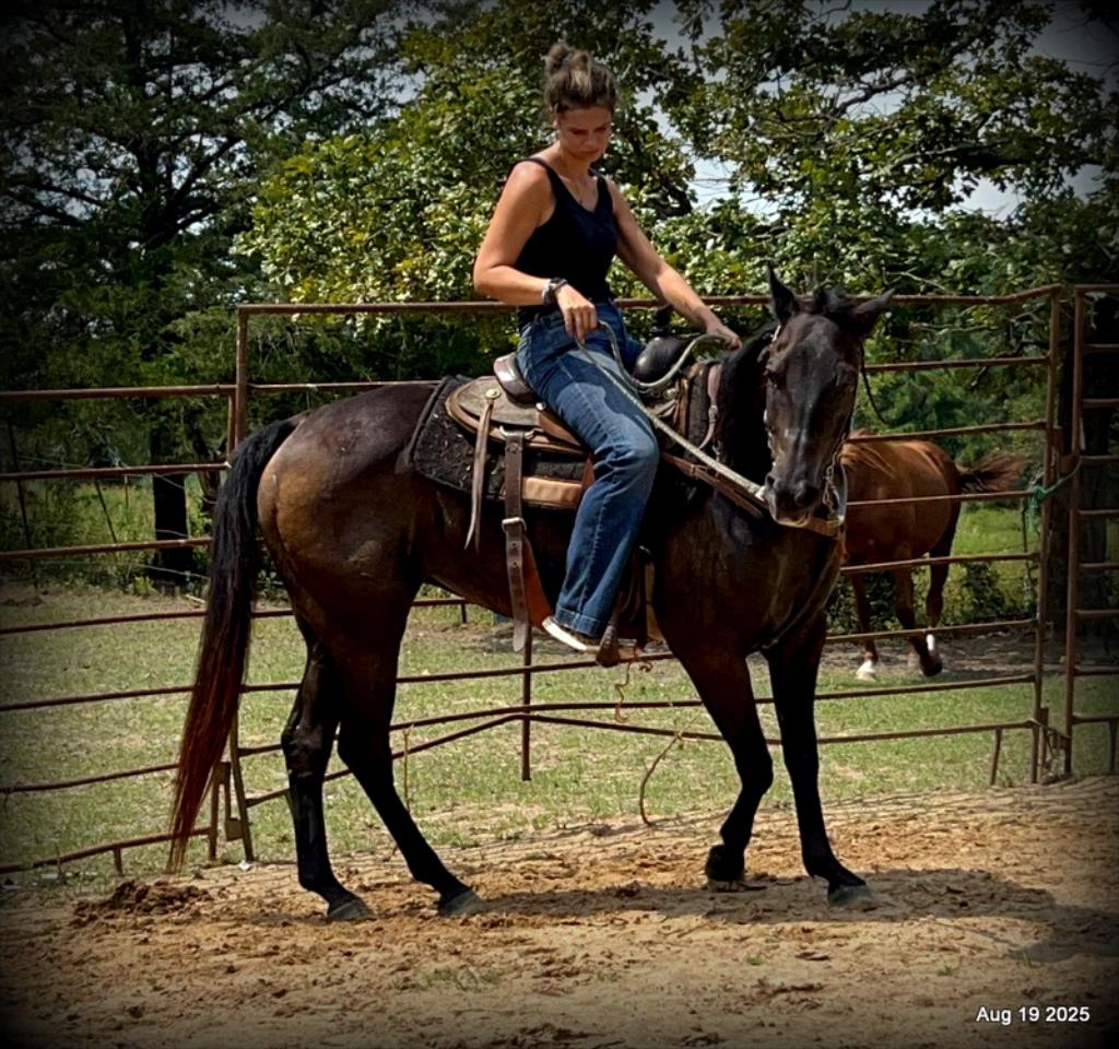 Shadow – The Sweetheart Everyone’s Looking For