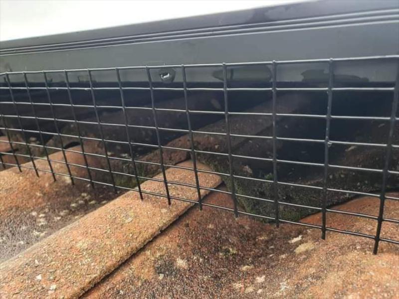 Solar Panel Bird Proofing