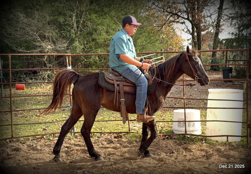 🩷❤️Pixie🩷❤️