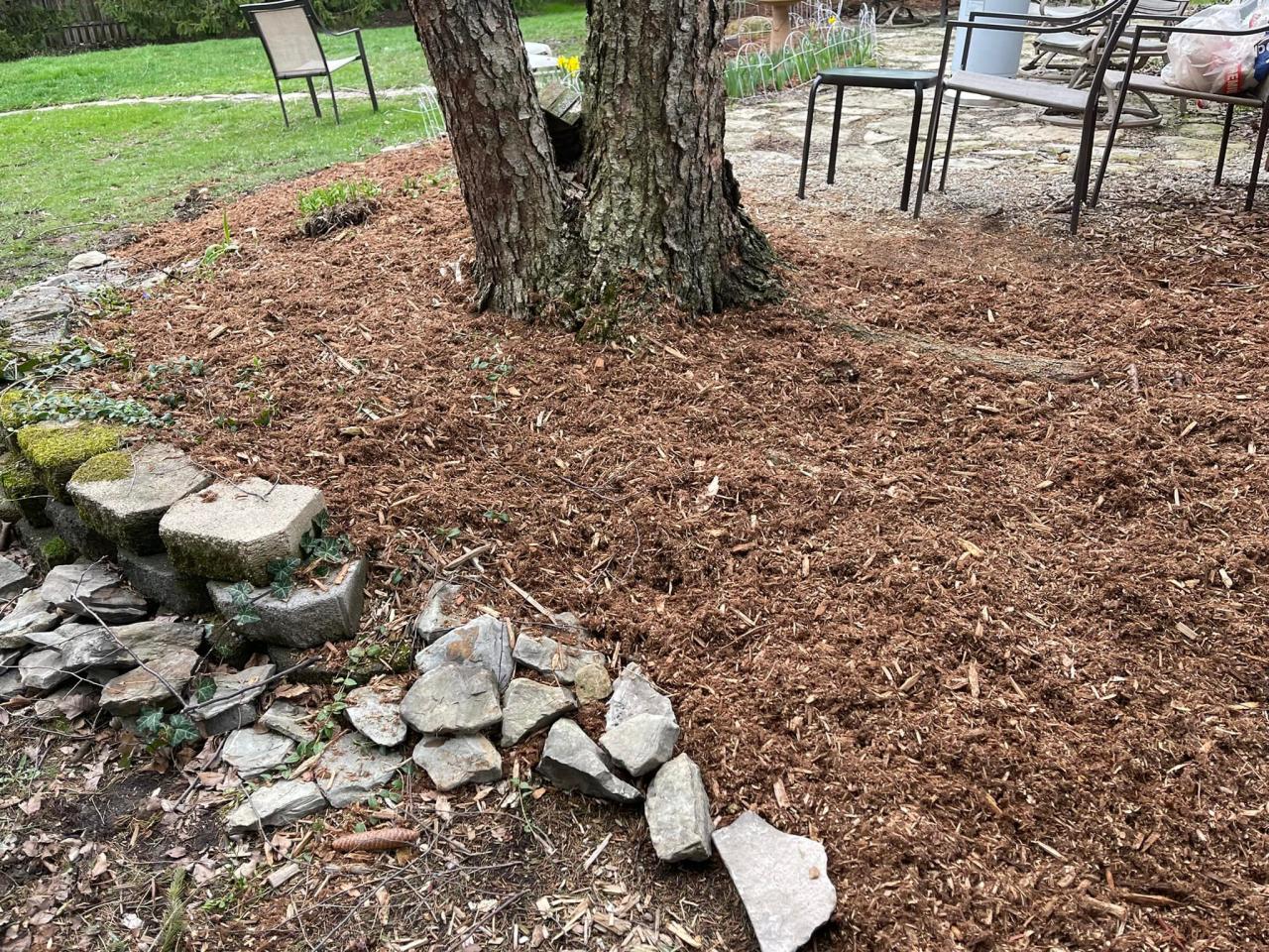 Mulching & Planting