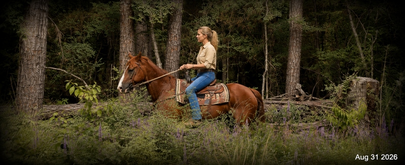 🧡🐴 Scarlet • Advanced Beginner, Ranch Experienced & Trail Ready 🧡