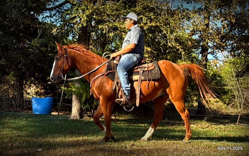 💚Ranger Safe for All Ages💚