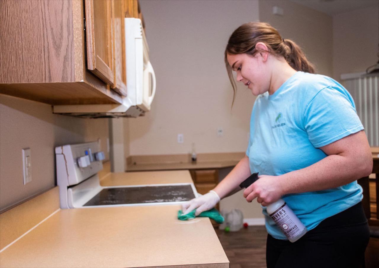 Cleaning Service In Palm Coast FL - Palm Maids Cleaning Service In Palm Coast FL - Palm Maids