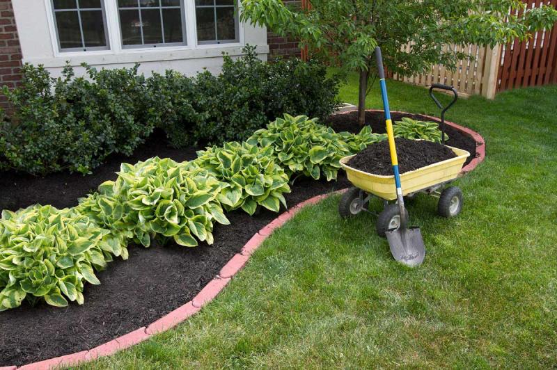 Landscaping &amp; Yard Clean-up