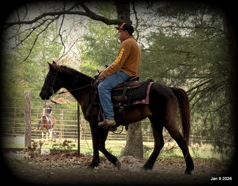 🩷❤️Pixie🩷❤️