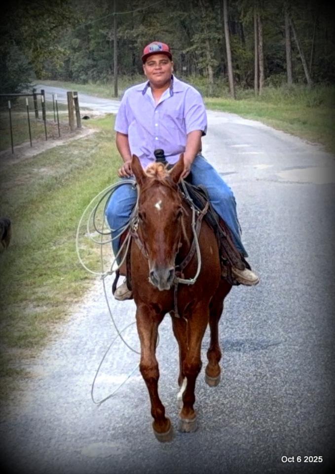 Biggie – Ranch-Tested, Family-Safe, and Ready to Ride!