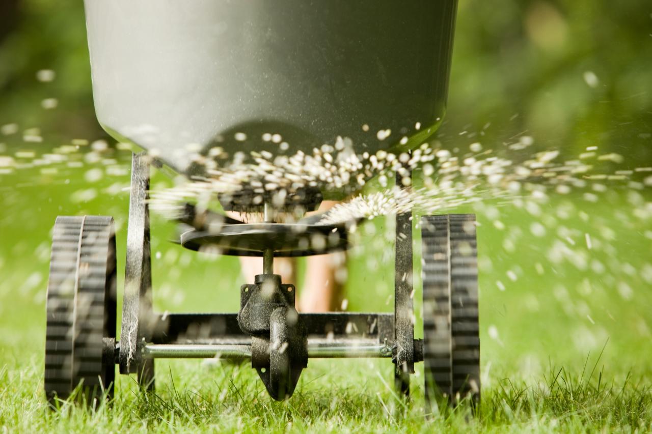 Fertilization, Weed & Pest Service