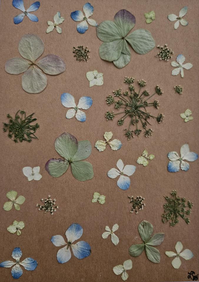 Winter Magic Series Cards 10 pack print cards