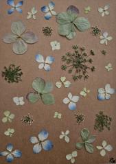 Winter Magic Series Cards 10 pack print cards