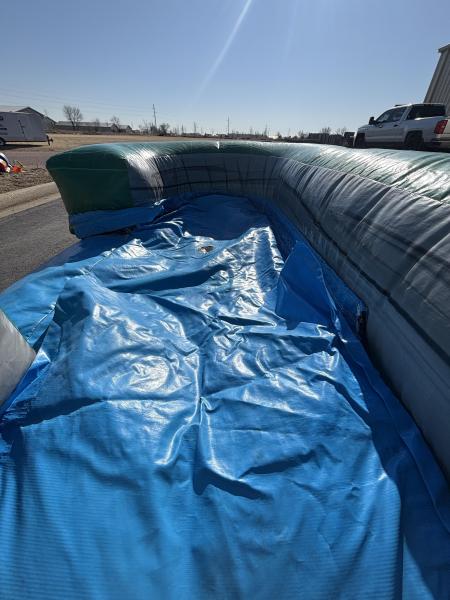 Jurassic Combo (Wet/Dry)