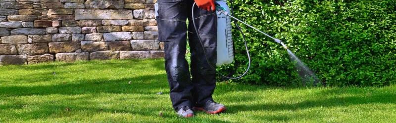 Residential Grass Maintenance