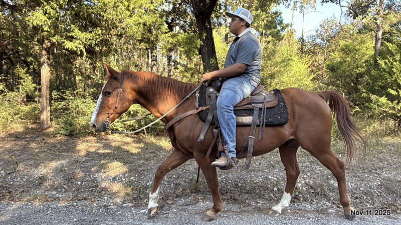 💚Ranger Safe for All Ages💚