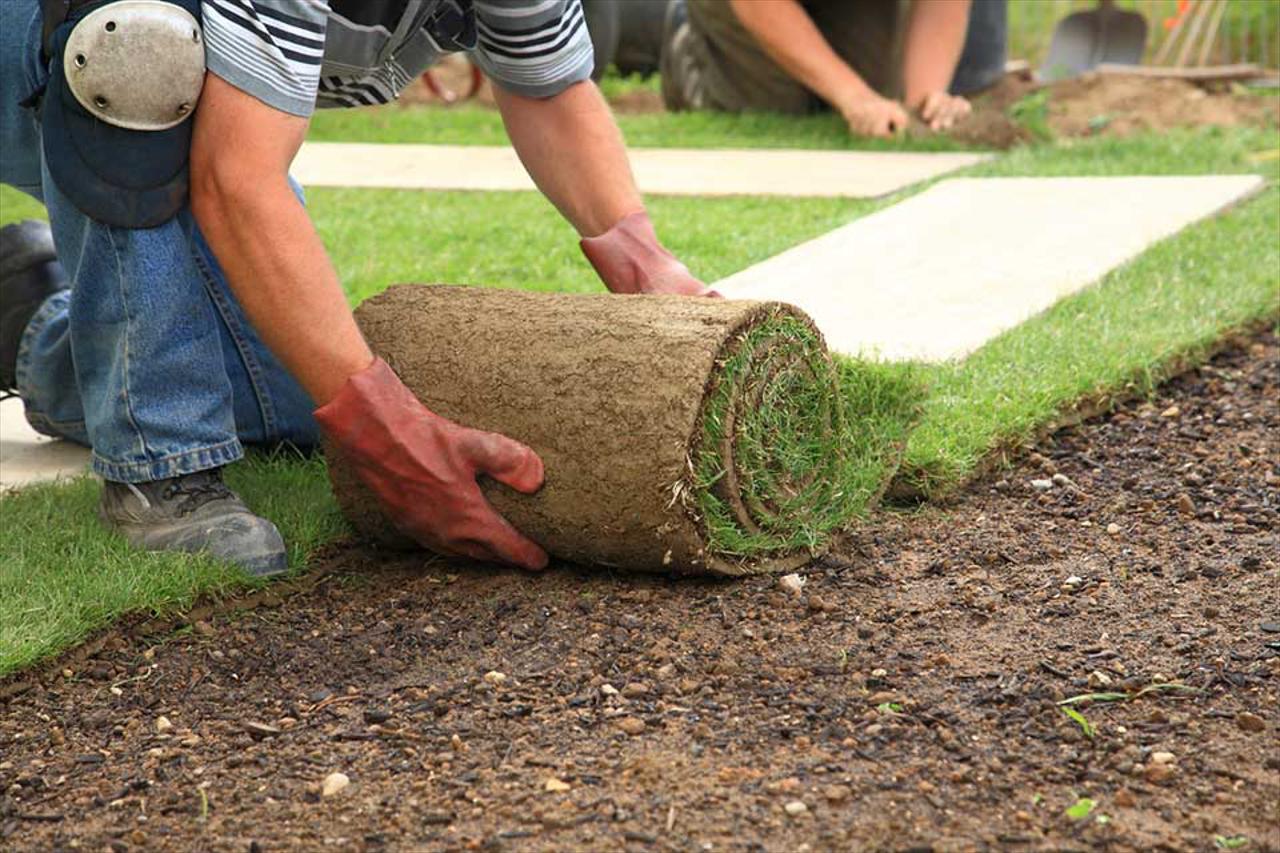 Lawn Installation