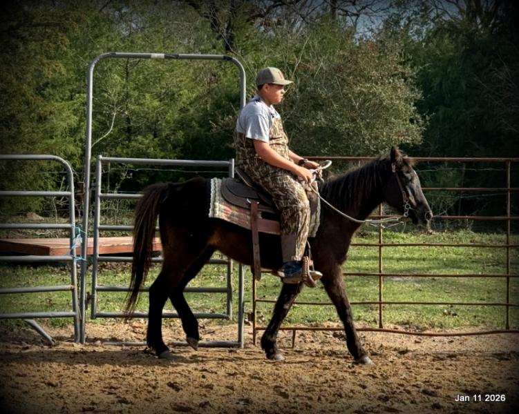 🩷❤️Pixie🩷❤️