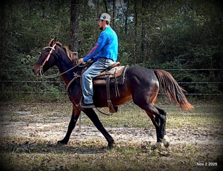 🧡Grace🧡 💔 ✨ The Underdog Who Deserves a Christmas Miracle ✨ 💔