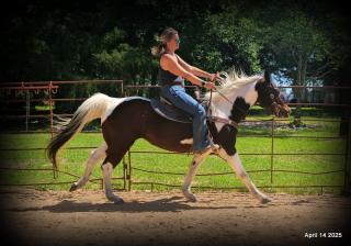Montana – The Picture-Perfect Partner with All the Right Moves