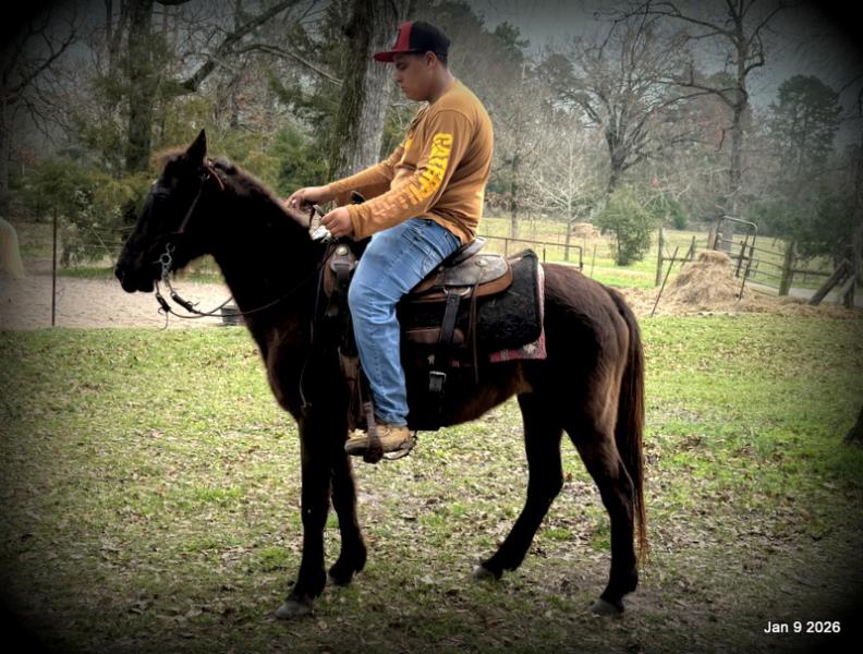 🩷❤️Pixie🩷❤️