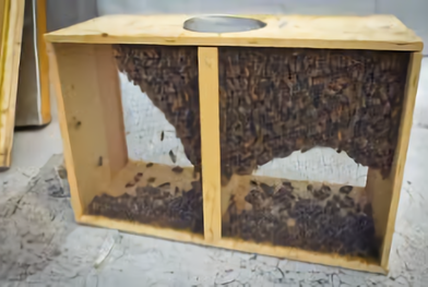 Package of Bees