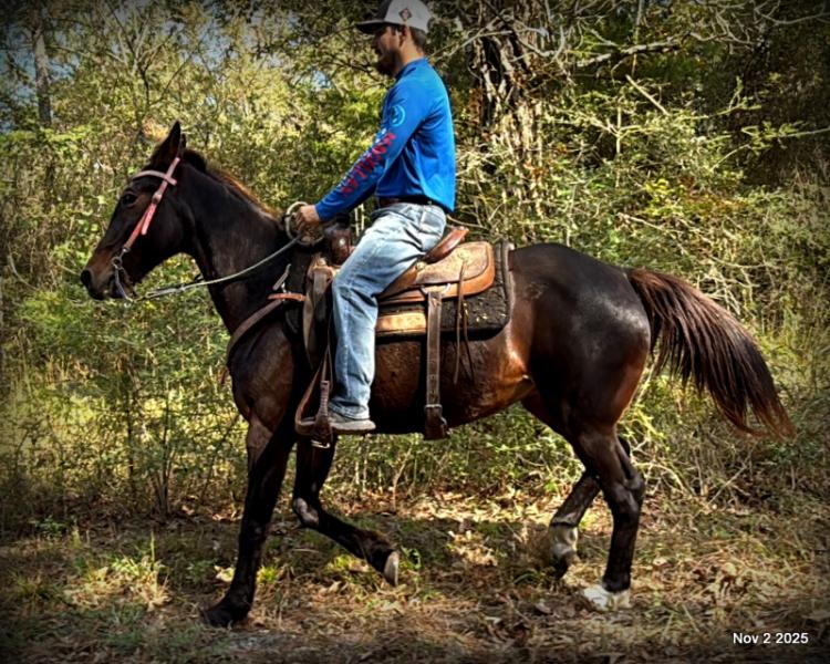 🧡Grace🧡 💔 ✨ The Underdog Who Deserves a Christmas Miracle ✨ 💔