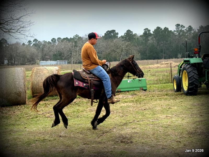 🩷❤️Pixie🩷❤️