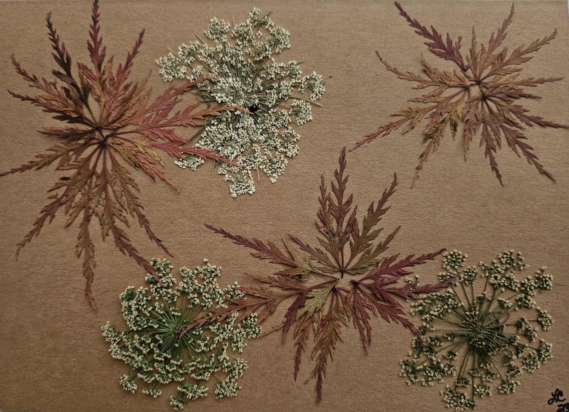 Winter Magic Series Cards 10 pack print cards