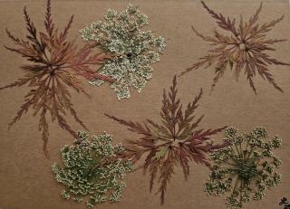 Winter Magic Series Cards 10 pack print cards