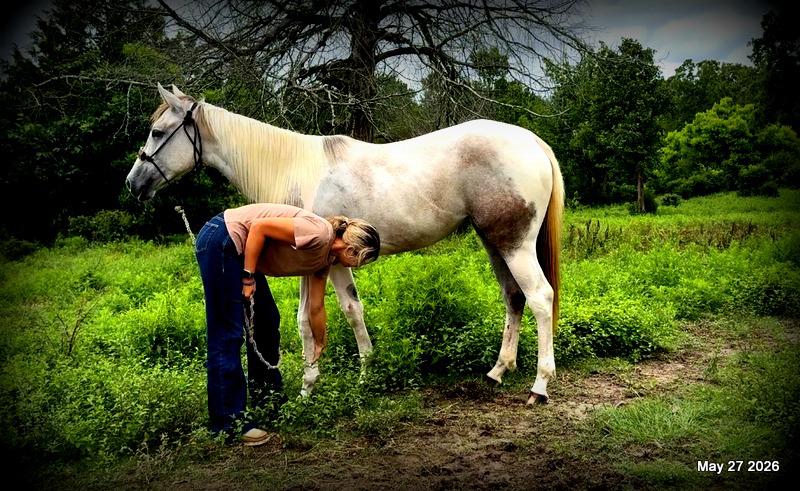 Milkshake Exceptional Young Filly Prospect 🌟