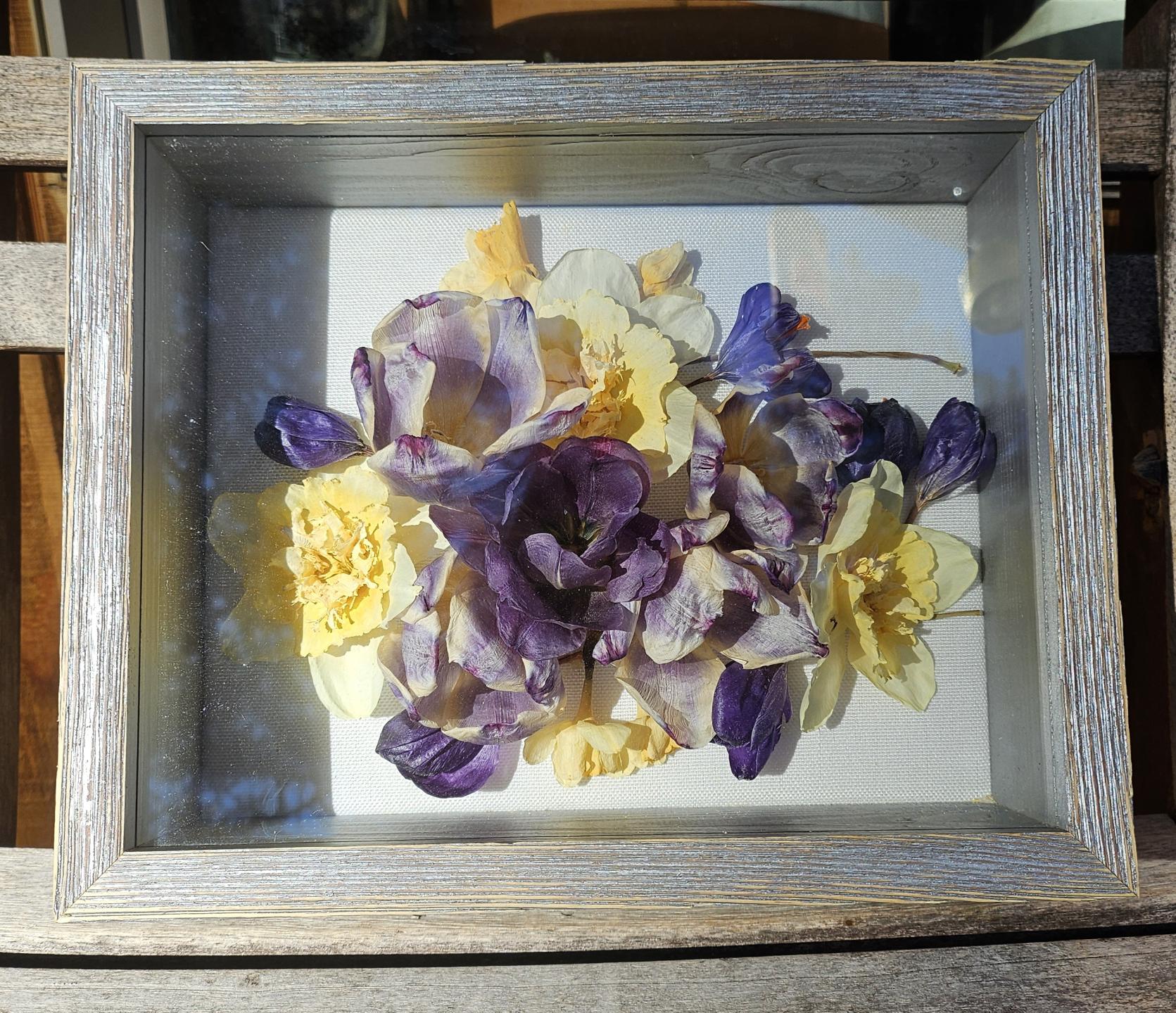 Spring Bulb Bouquet, Shadowbox
