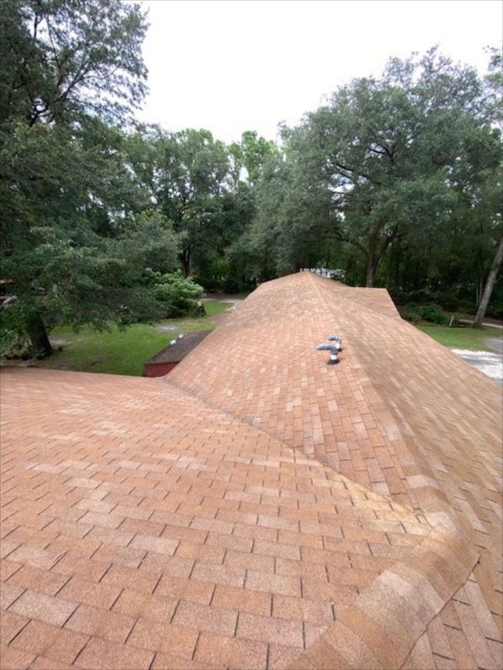 Roof Cleaning