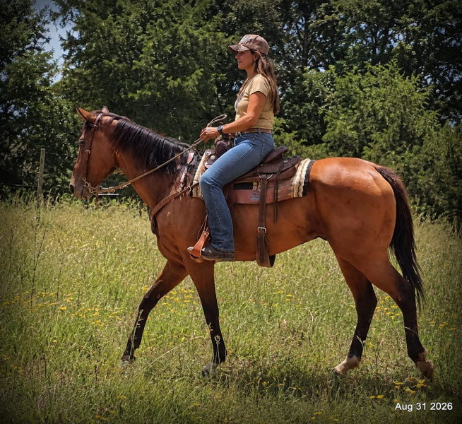 💚🐴 River • Sensible, Responsive & Confidence-Building Trail Mare💚