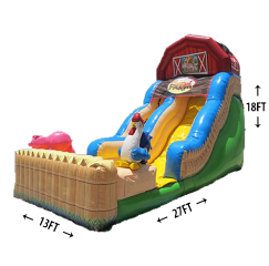 18' Funny Farm Slide (Wet/Dry)