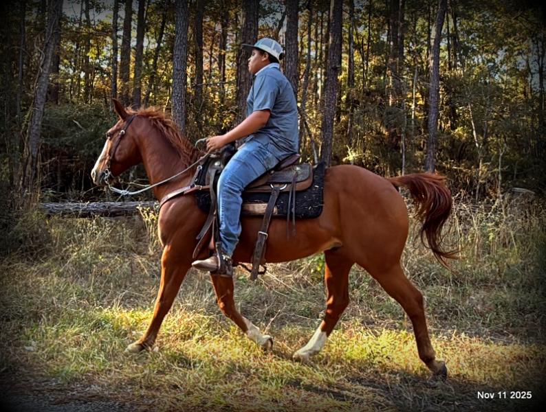 💚Ranger Safe for All Ages💚