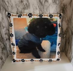 Throw pillow