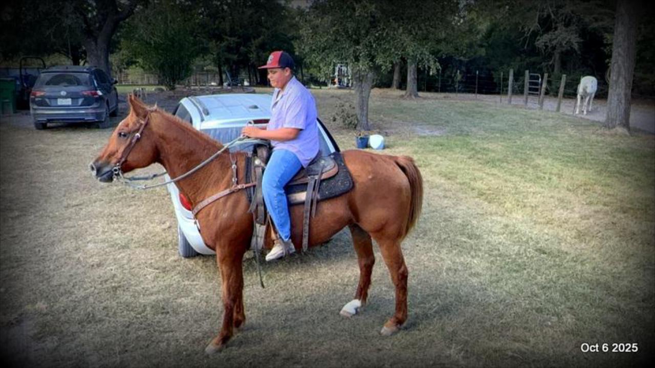 Biggie – Ranch-Tested, Family-Safe, and Ready to Ride!
