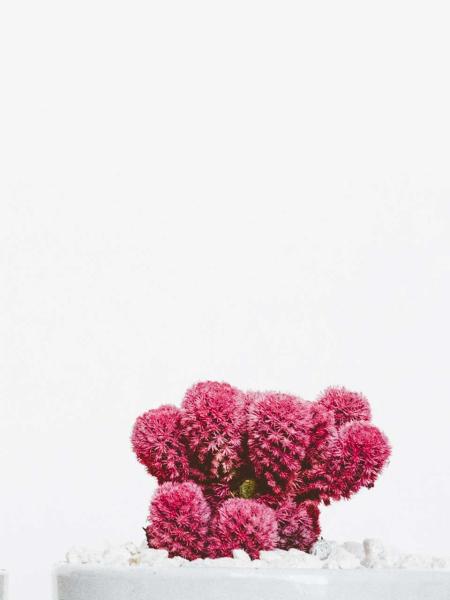 Pink Artificial Aquarium Plant