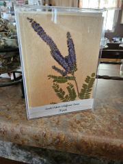 South Dakota Wildflower Series Cards 10 pack print cards