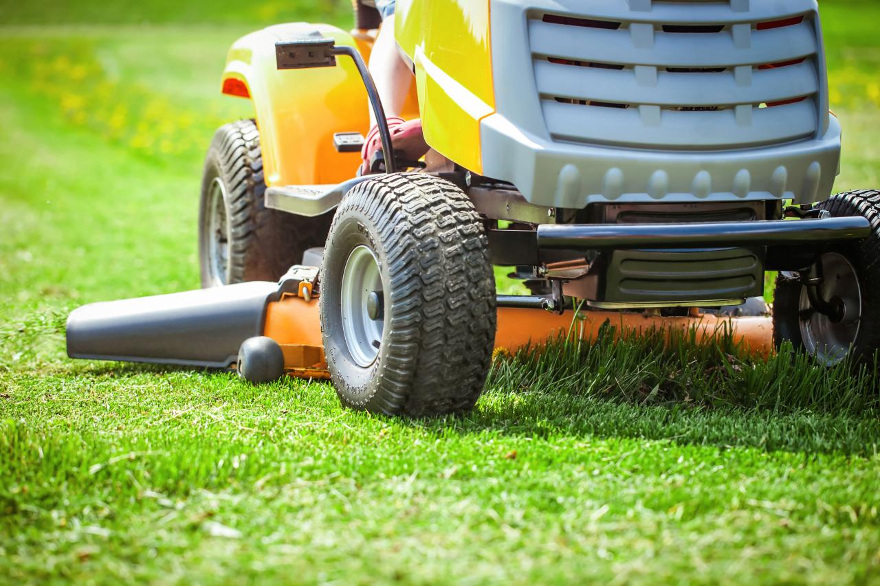 Lawn Mowing & Maintenance