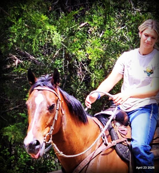 Darylslitlediablo (Diablo)