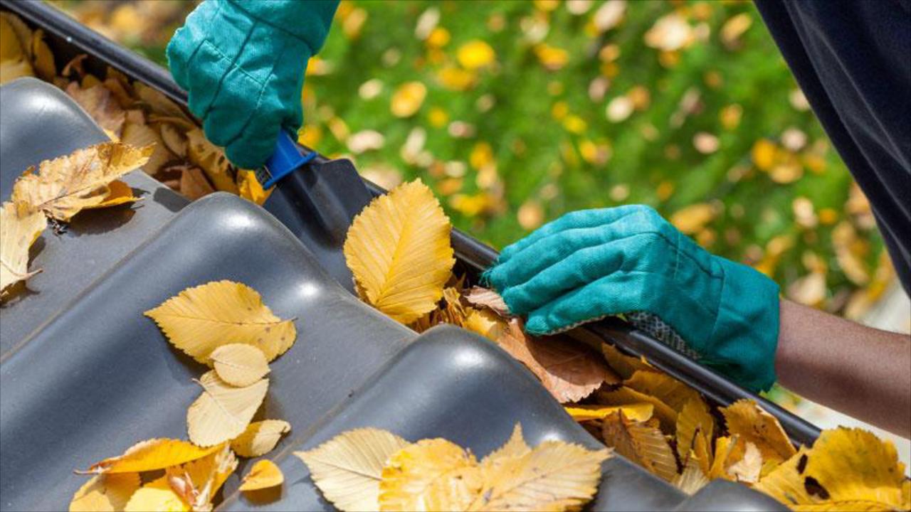 Spring & Fall Cleanup