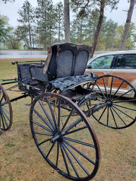 Antique Horsedrawn Drs Buggy with convertible top