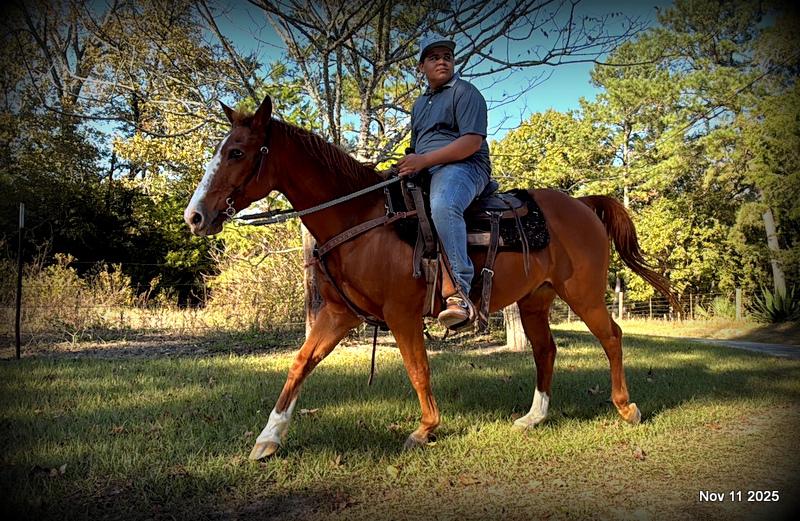 💚Ranger Safe for All Ages💚