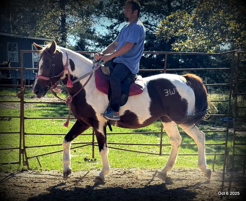 Jazzy – A Warrior Seeking Her Second Chance