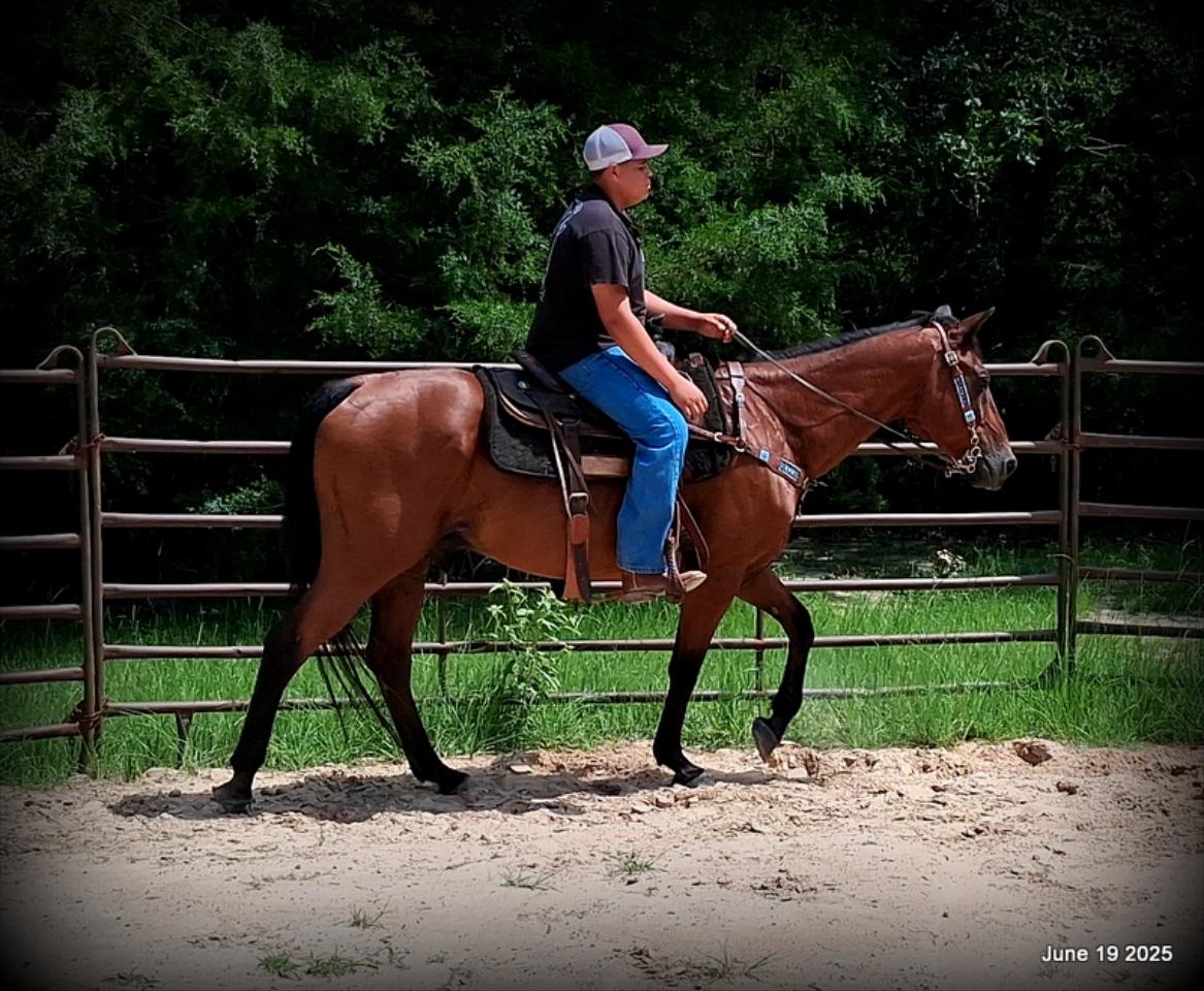 Sammy – A Comeback Story with a Heart of Gold